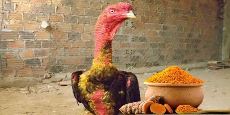 3 kỹ thuật được các chuyên gia thường xuyên áp dụng