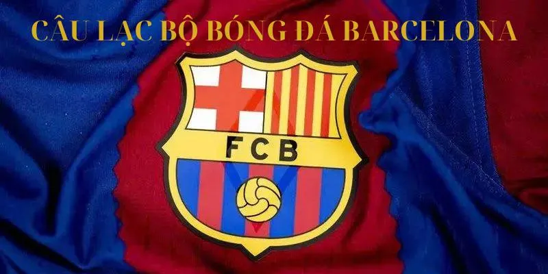 Câu Lạc Bộ Bóng Đá Barcelona - Giới Thiệu Lịch Sử Tại Xin88