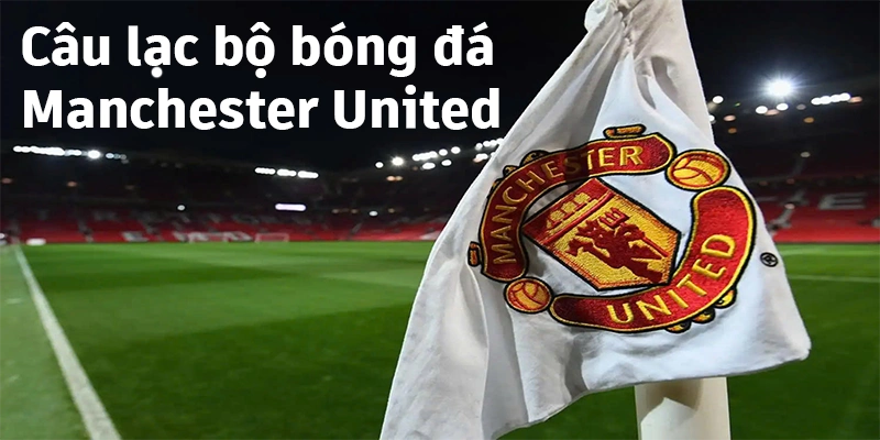 Câu Lạc Bộ Bóng Đá Manchester United - Sự Thống Trị Trời Âu