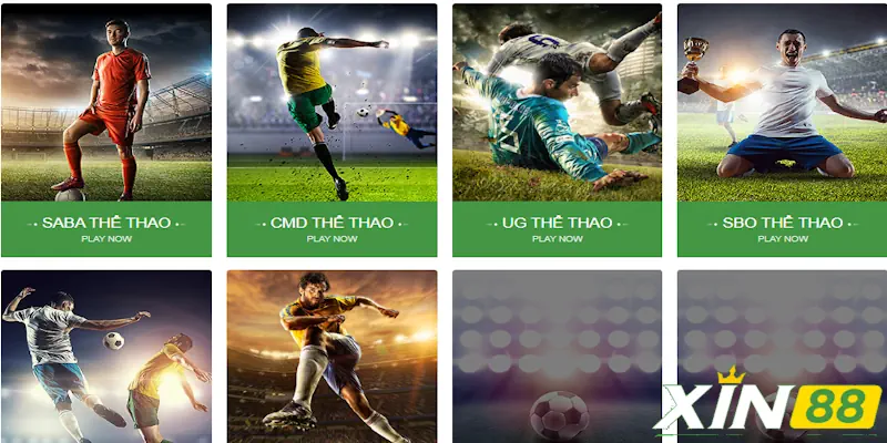 Tham gia thể thao Xin88 chất lượng cao tại 6 sảnh chơi hàng đầu