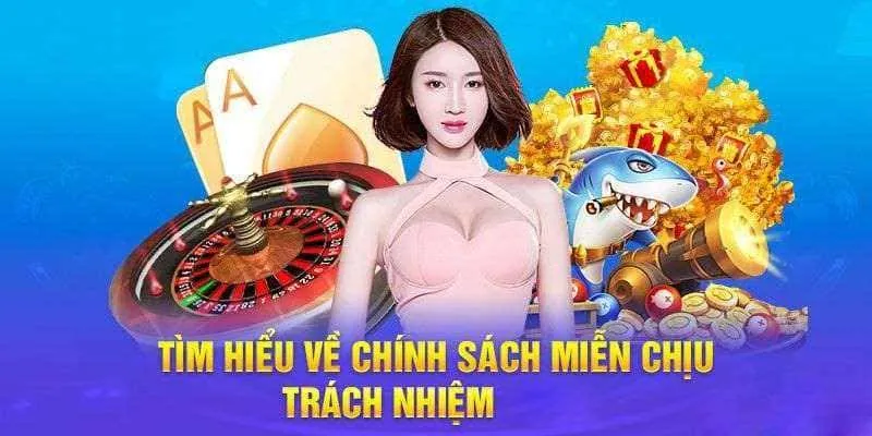 Vài thông tin chính về chính sách miễn trách nhiệm